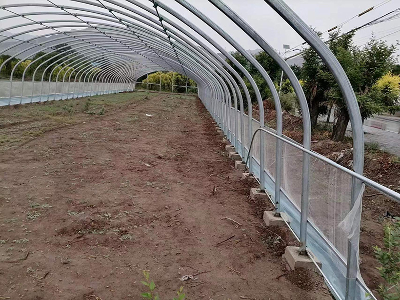萨拉齐温室大棚